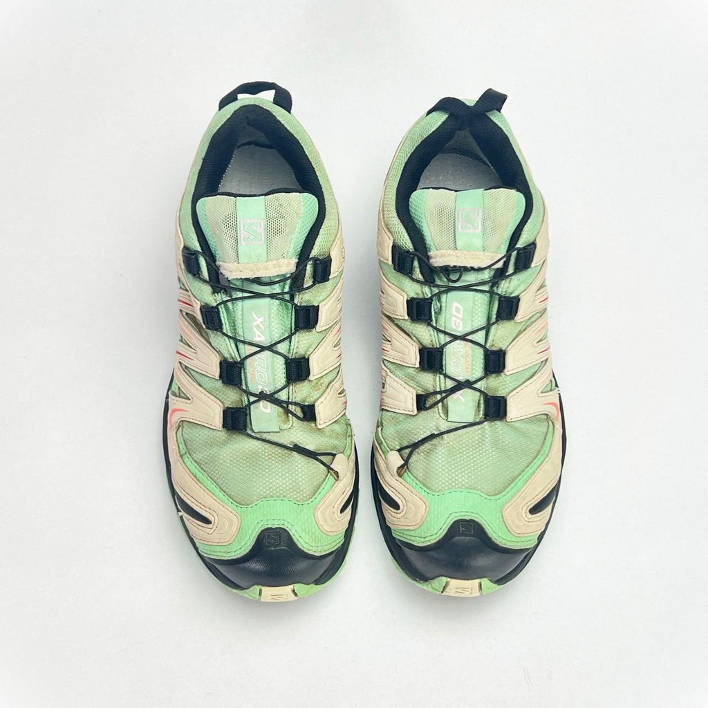 Salomon XA Pro 3D GTX Gore-Tex "Watermelon"