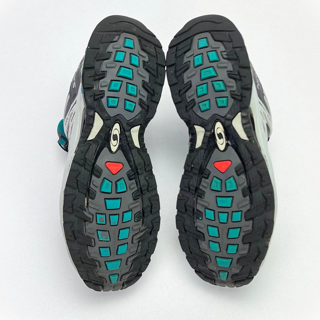 Salomon XA Pro 3D Ultra 2 GTX Gore-Tex grey/blue