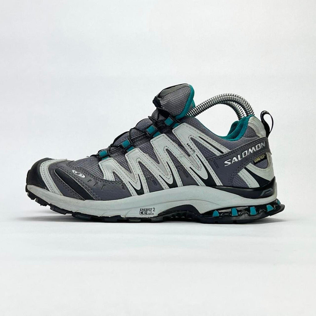 Salomon XA Pro 3D Ultra 2 GTX Gore-Tex grey/blue