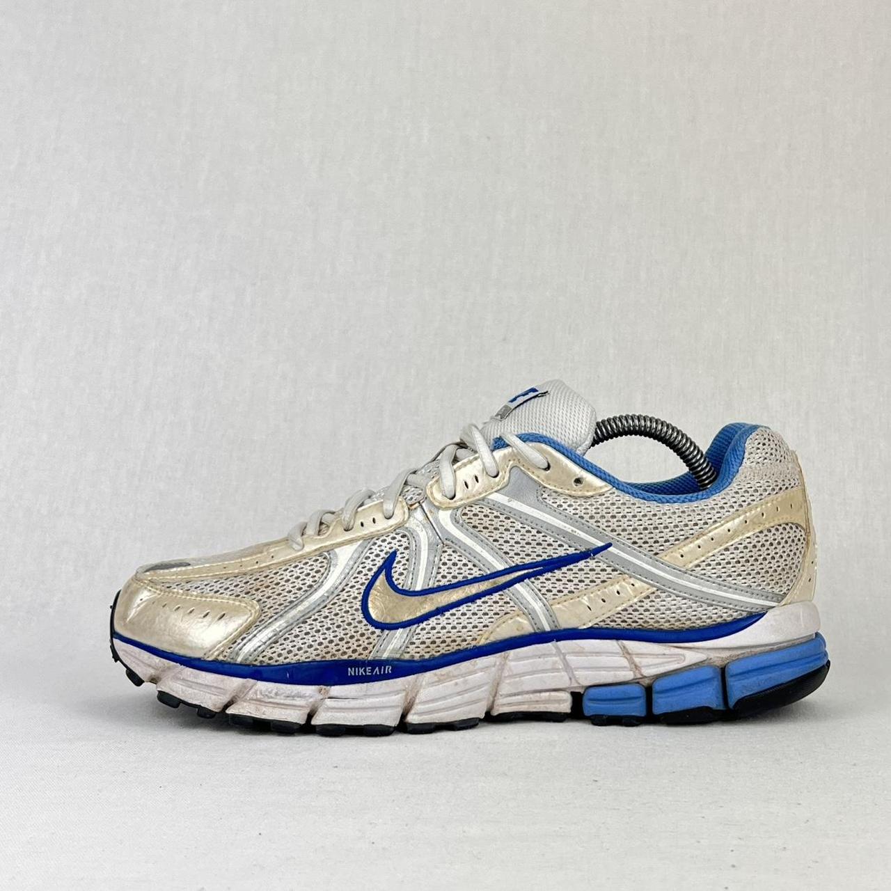 Nike Pegasus 25 white/blue/silver