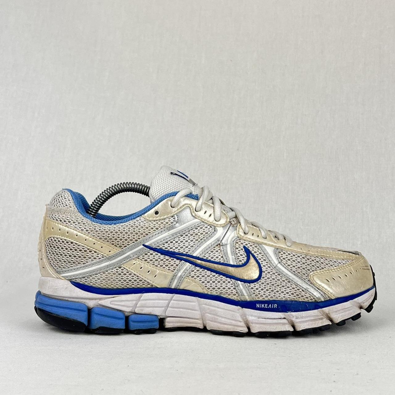 Nike Pegasus 25 white/blue/silver
