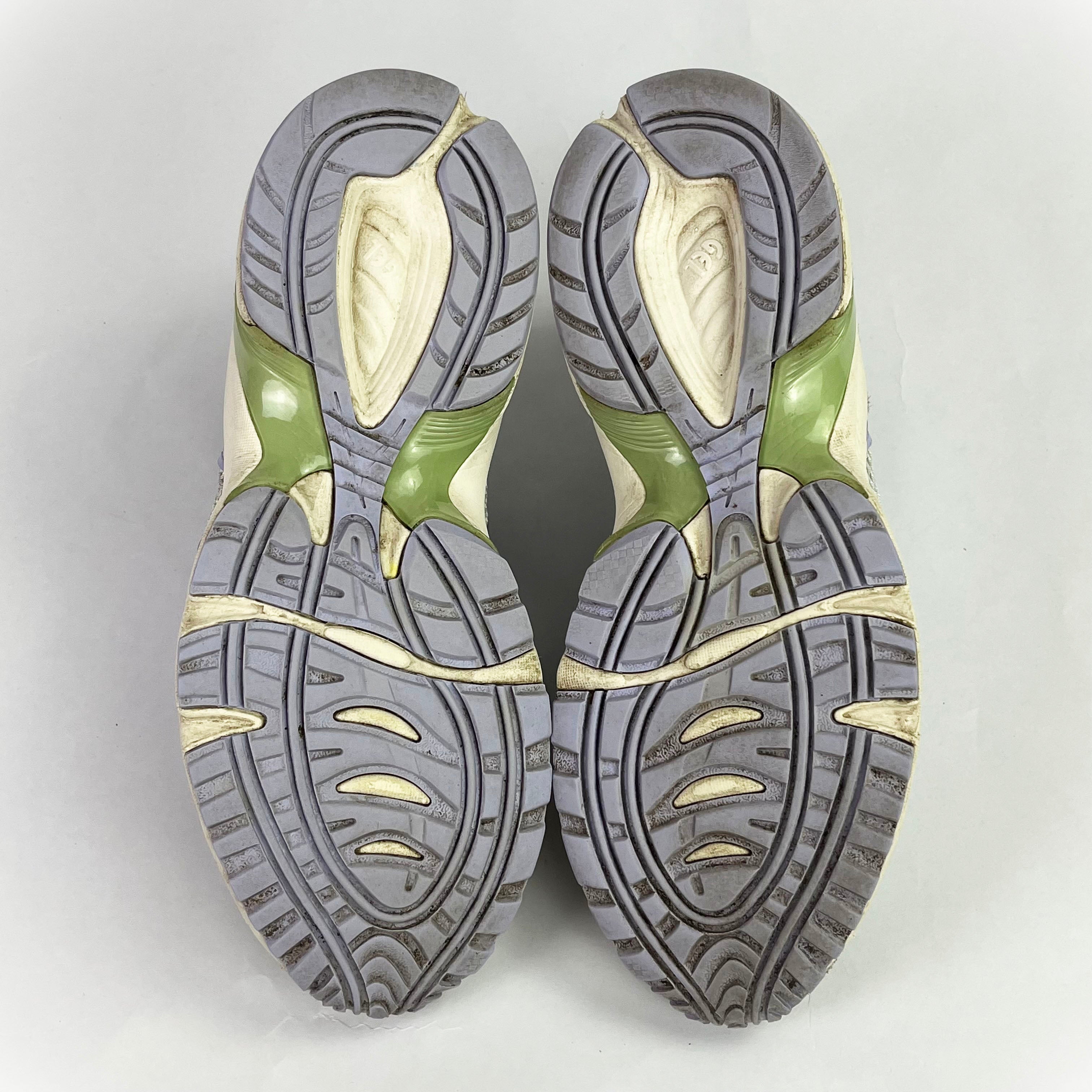 Asics 1090 v2 grey/purple